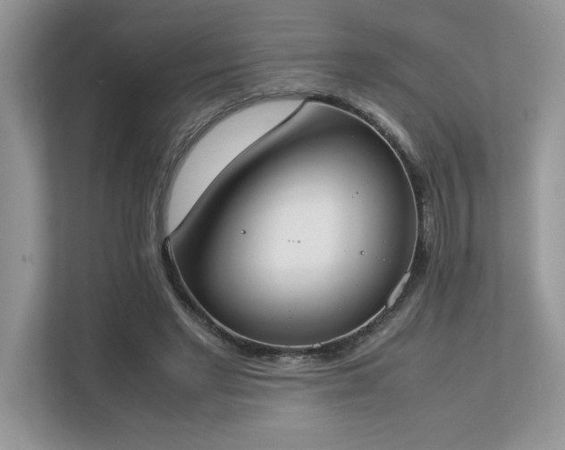 X0000112850493200908211303