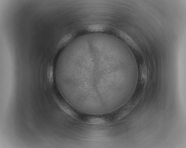 X0000112850494200908211303