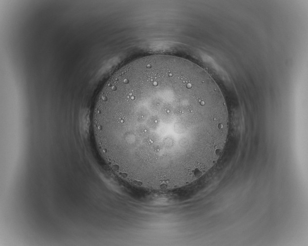 X0000112850495200908211303