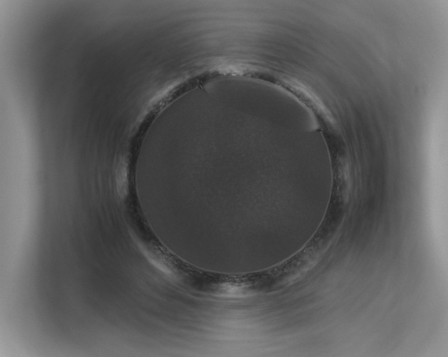 X0000112850496200908211303