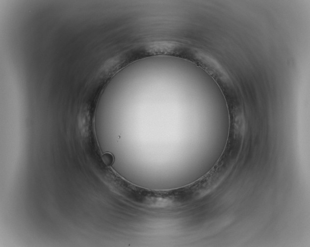 X0000112850498200908211303
