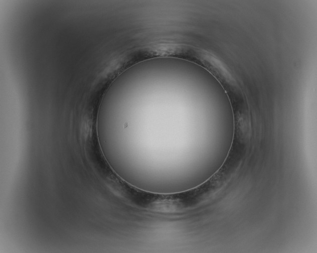 X0000112850499200908211303