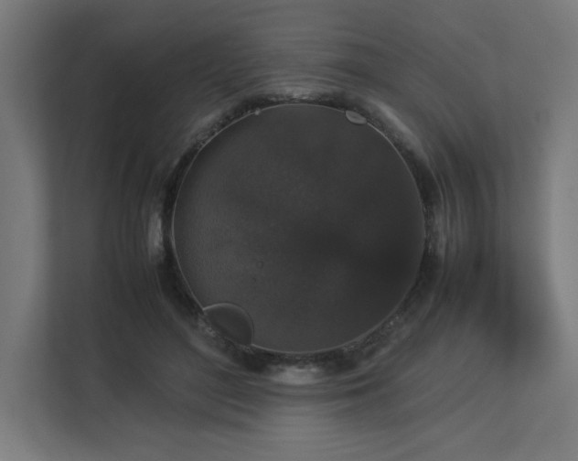 X0000112850500200908211303