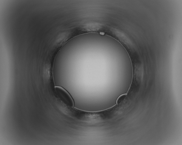 X0000112850501200908211303