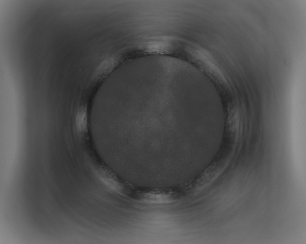 X0000112850502200908211303