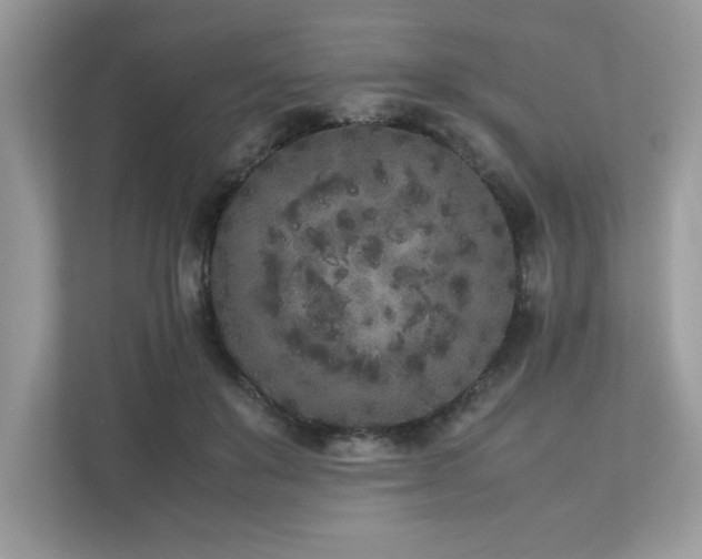X0000112850503200908211303