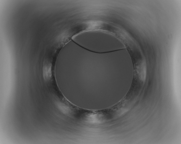 X0000112850504200908211303