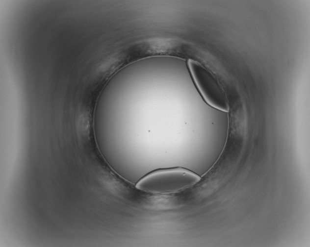 X0000112850505200908211303