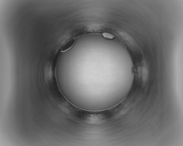 X0000112850508200908211303