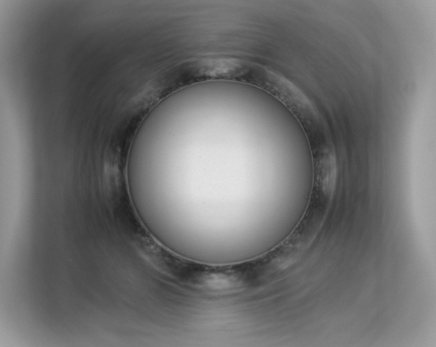 X0000112850510200908211303