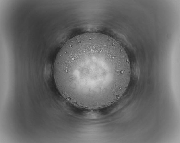 X0000112850511200908211303