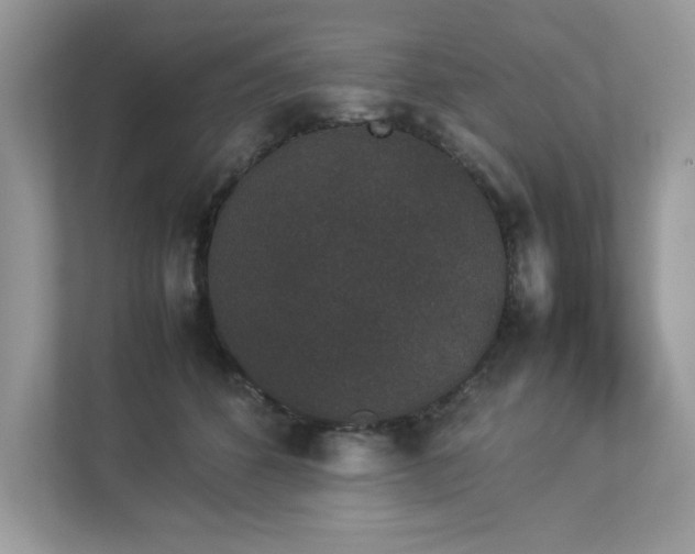 X0000112850512200908211303