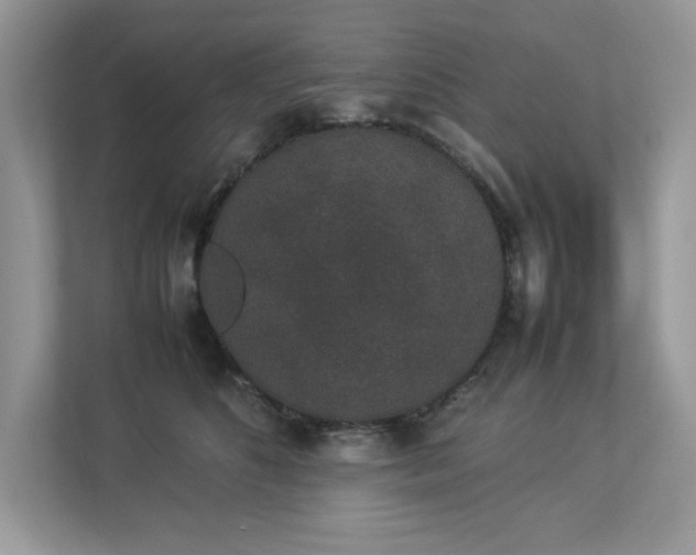 X0000112850516200908211303