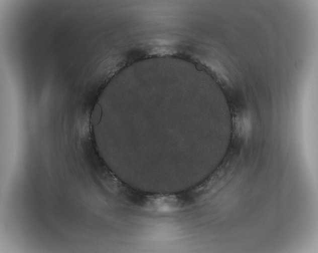 X0000112850517200908211303