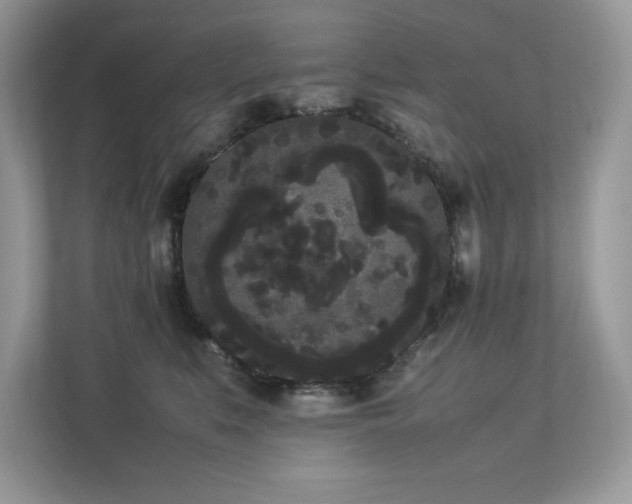 X0000112850519200908211303