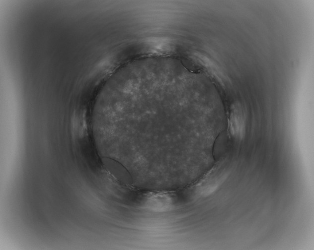 X0000112850520200908211303