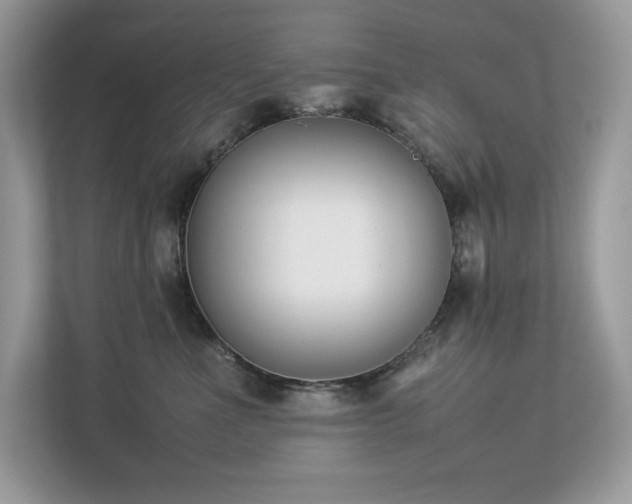 X0000112850523200908211303