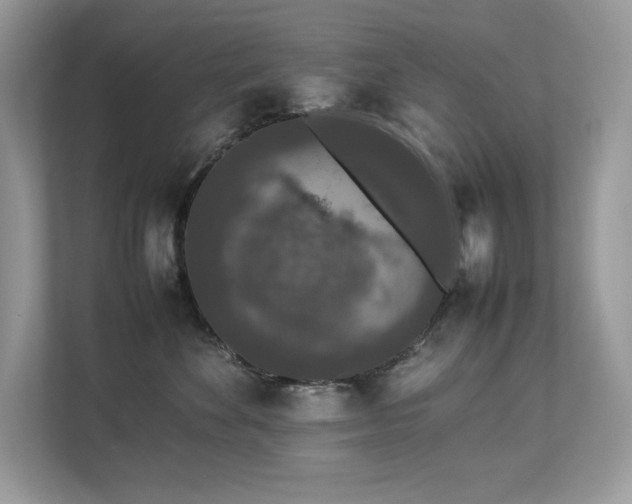 X0000112850524200908211303