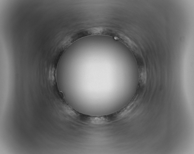 X0000112850525200908211303