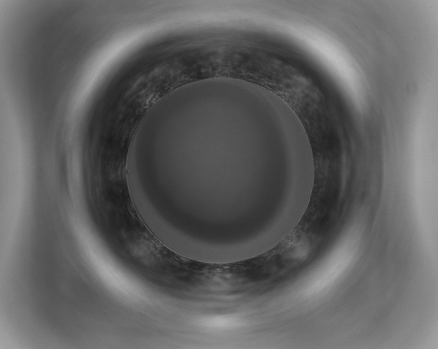 X0000112850526200908211303