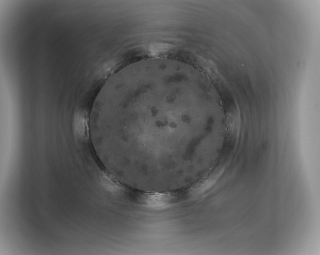 X0000112850527200908211303