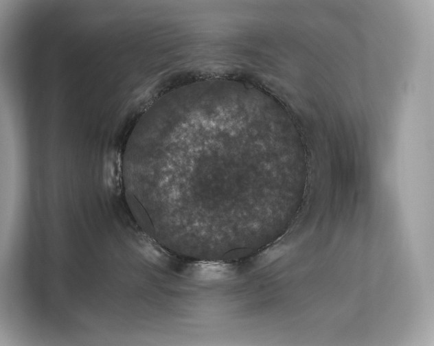 X0000112850528200908211303