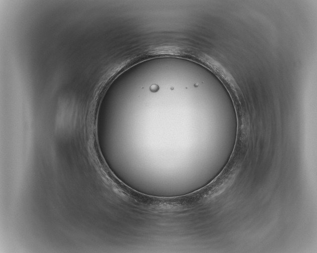 X0000112850529200908211302