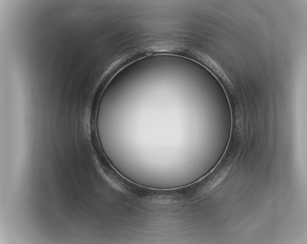 X0000112850530200908211302