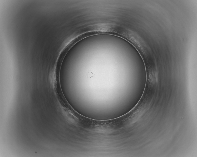 X0000112850532200908211302