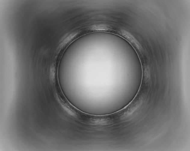 X0000112850533200908211302