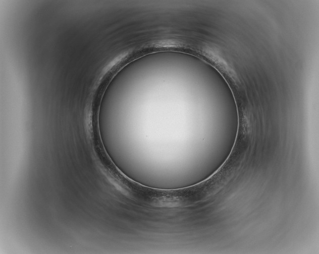 X0000112850535200908211302