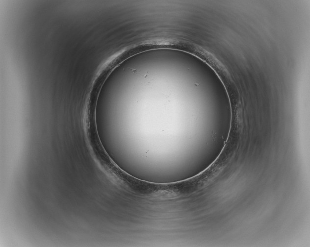 X0000112850536200908211302