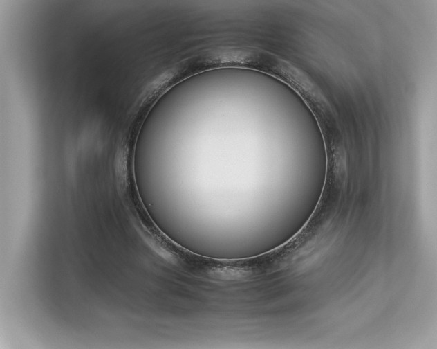 X0000112850537200908211302