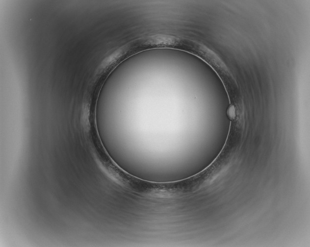 X0000112850538200908211302