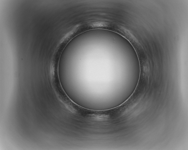 X0000112850539200908211302