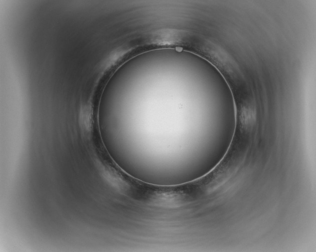 X0000112850540200908211302