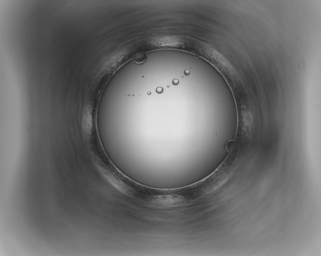 X0000112850541200908211302