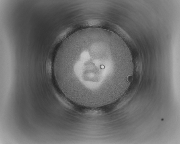 X0000112850542200908211302