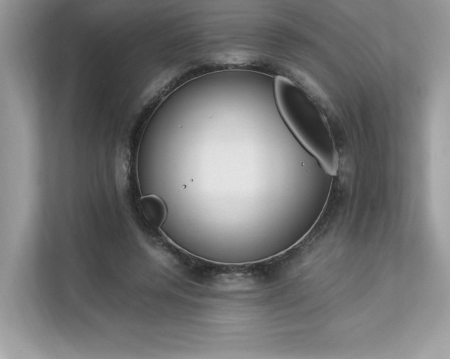 X0000112850544200908211302