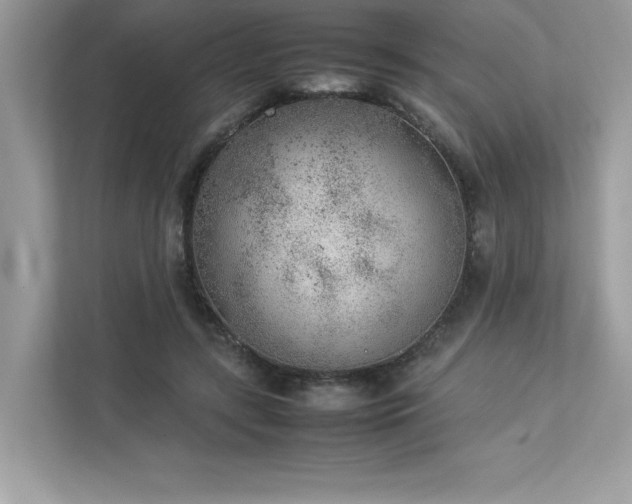 X0000112850547200908211303