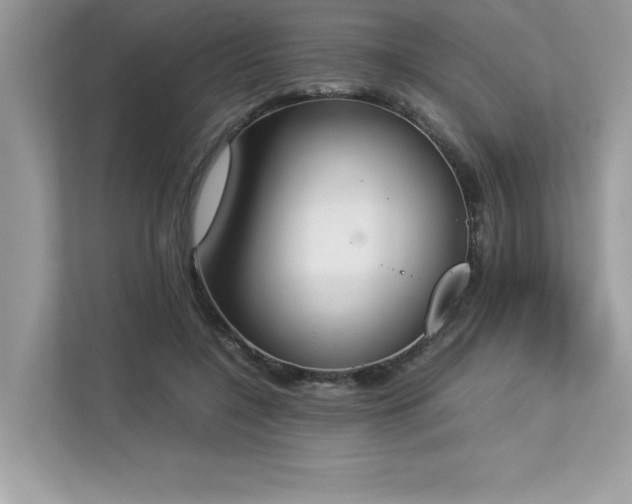 X0000112850548200908211303