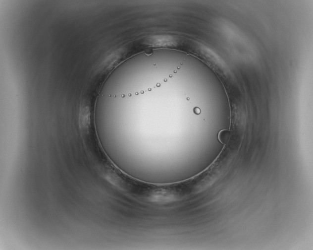 X0000112850549200908211303