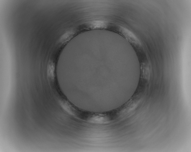X0000112850550200908211303