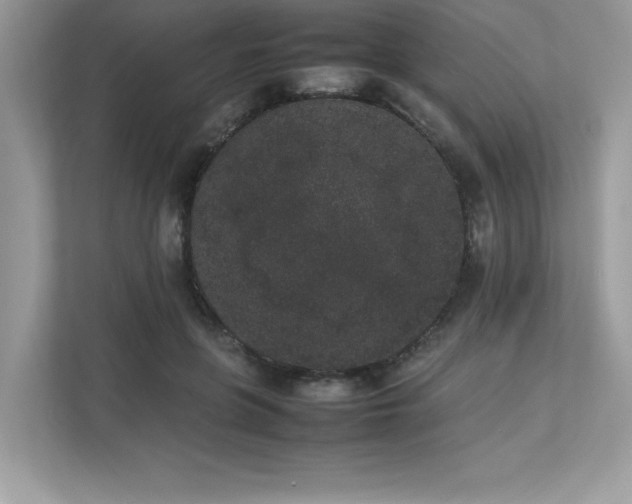 X0000112850551200908211303
