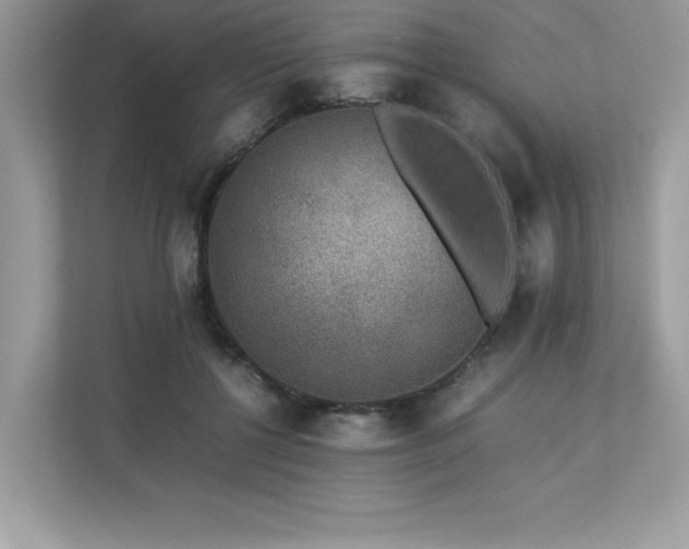 X0000112850552200908211303