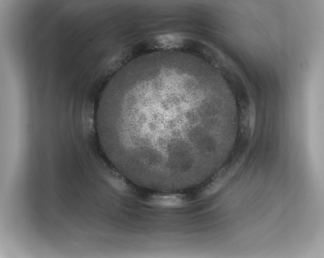 X0000112850553200908211303