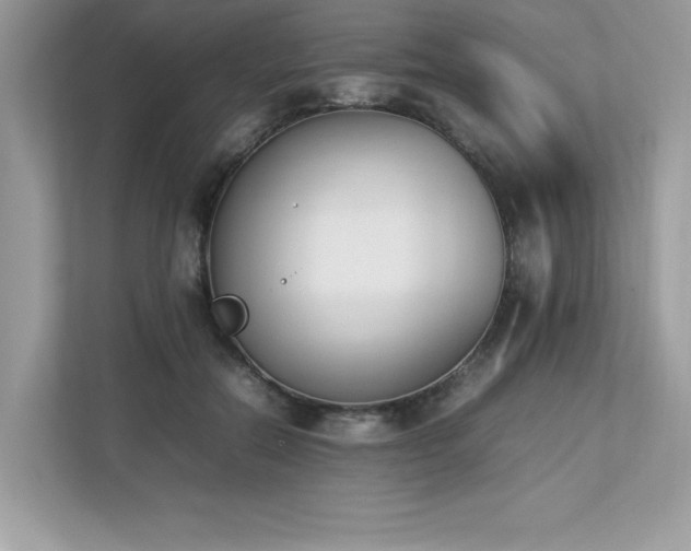 X0000112850554200908211303
