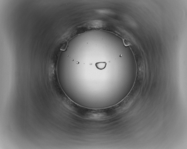 X0000112850555200908211303