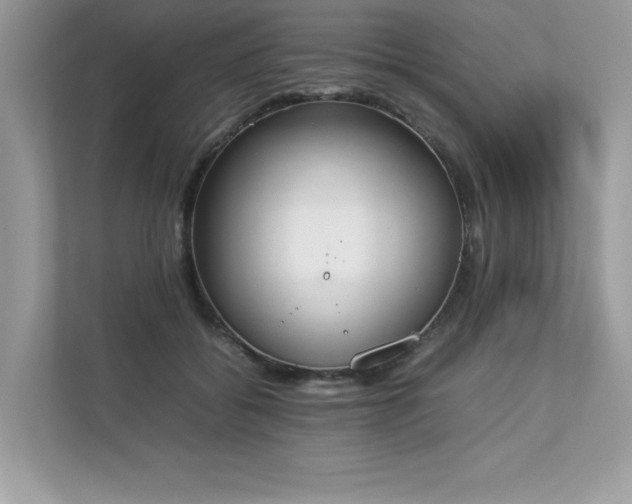 X0000112850556200908211303