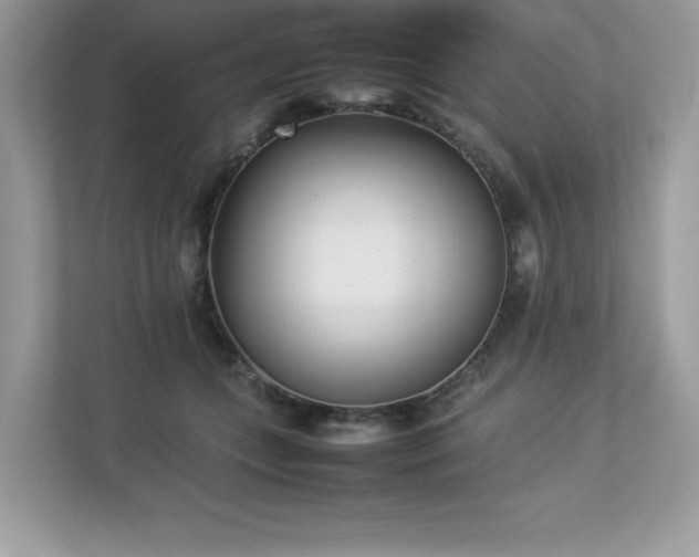 X0000112850559200908211303